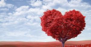 Valentine’s Day Special Offers Valentine’s Day Special Offers